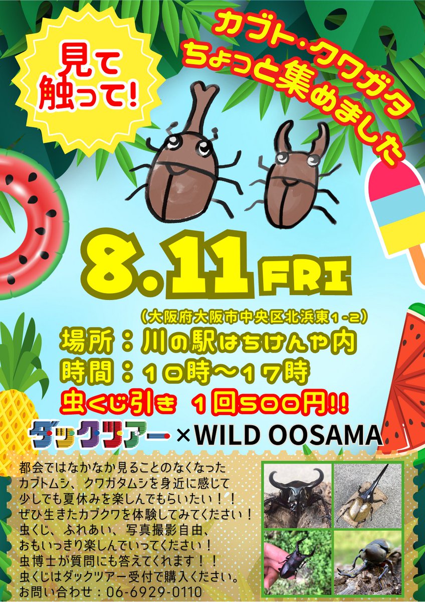 【8月11日 イベント告知】
夏休みカブト虫とクワガタ虫集めました🐞

写真撮ったり、自由にふれあったり、くじ引きも🎯

当日ダックツアーご乗車の小学生以下お子様は
希望者先着10名様にくじ引き券お渡しします🤩
遊びにきてねー🤩

#カブトムシ #クワガタ #カブクワ #夏休み特別企画