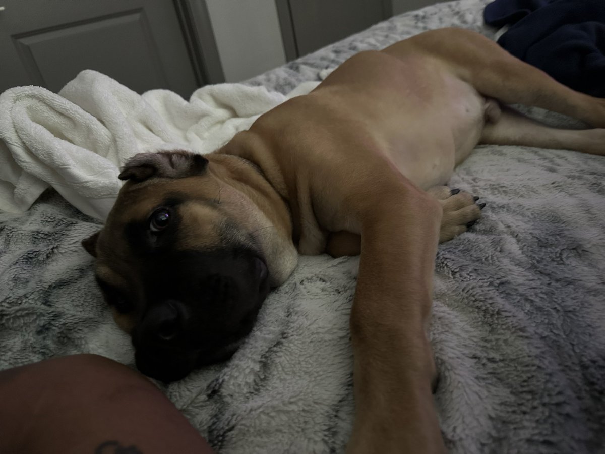 Rodariusss's tweet image. I can’t even go to sleep because he in the way 🤦🏽‍♂️