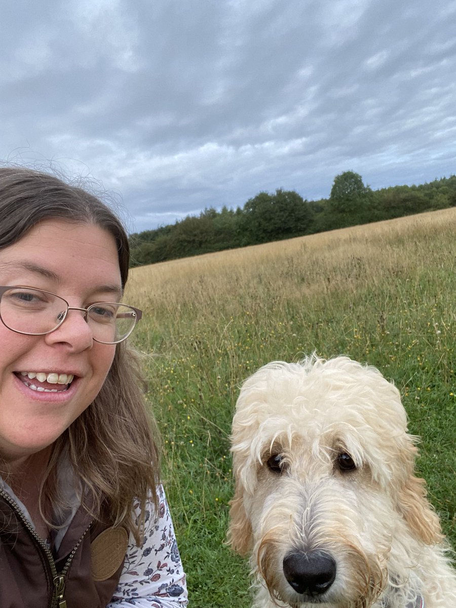 the mini smallholder / Homegrown Herb Garden tweet media