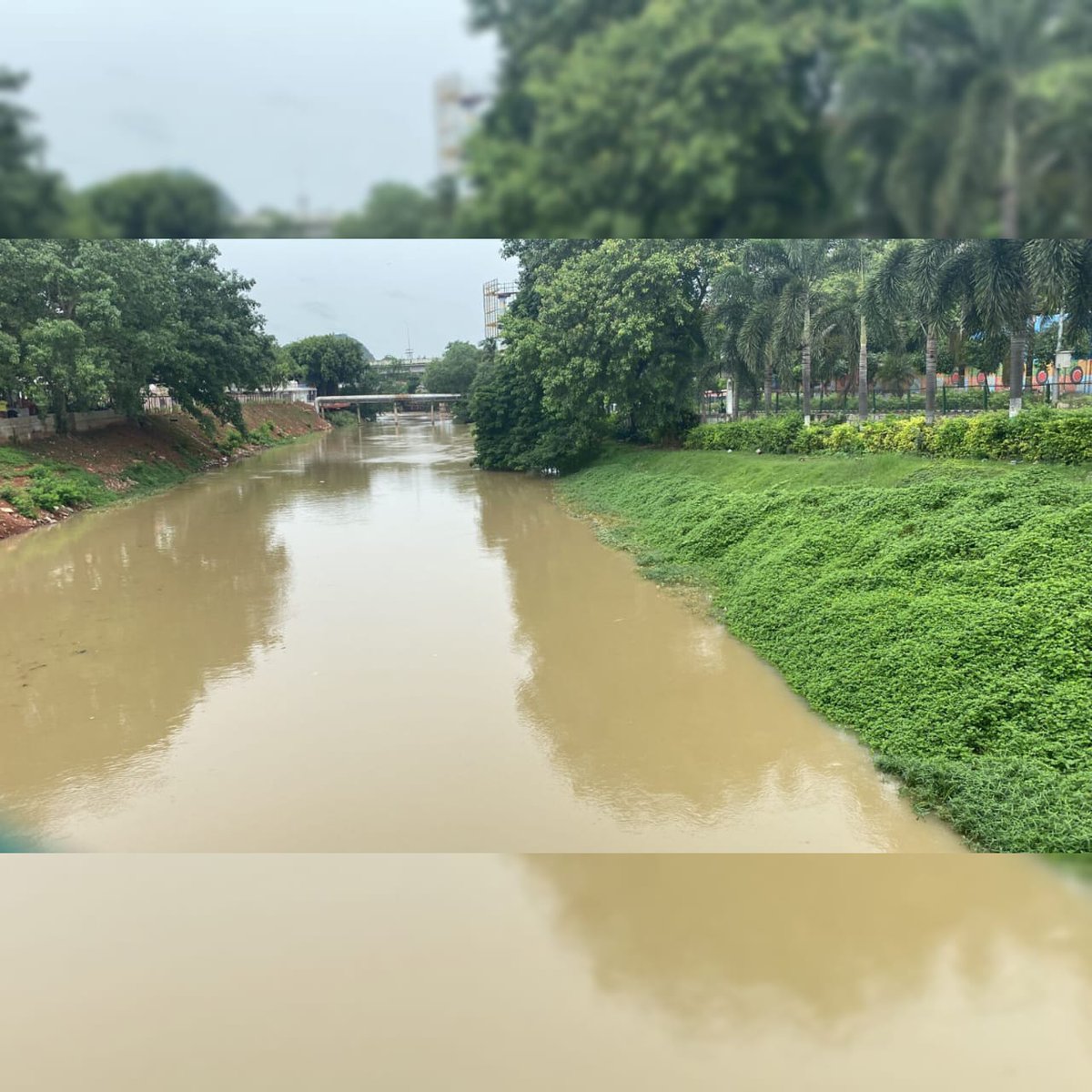 MCKGCAP's tweet photo. WATER......Value For Life 🍃🌊

.
.
.
.
.
.
.
.
#mckgc #swatchandhra #water #canal
#clean #greenary #pollution #ourvmc https://t.co/JxhjTASiEi
