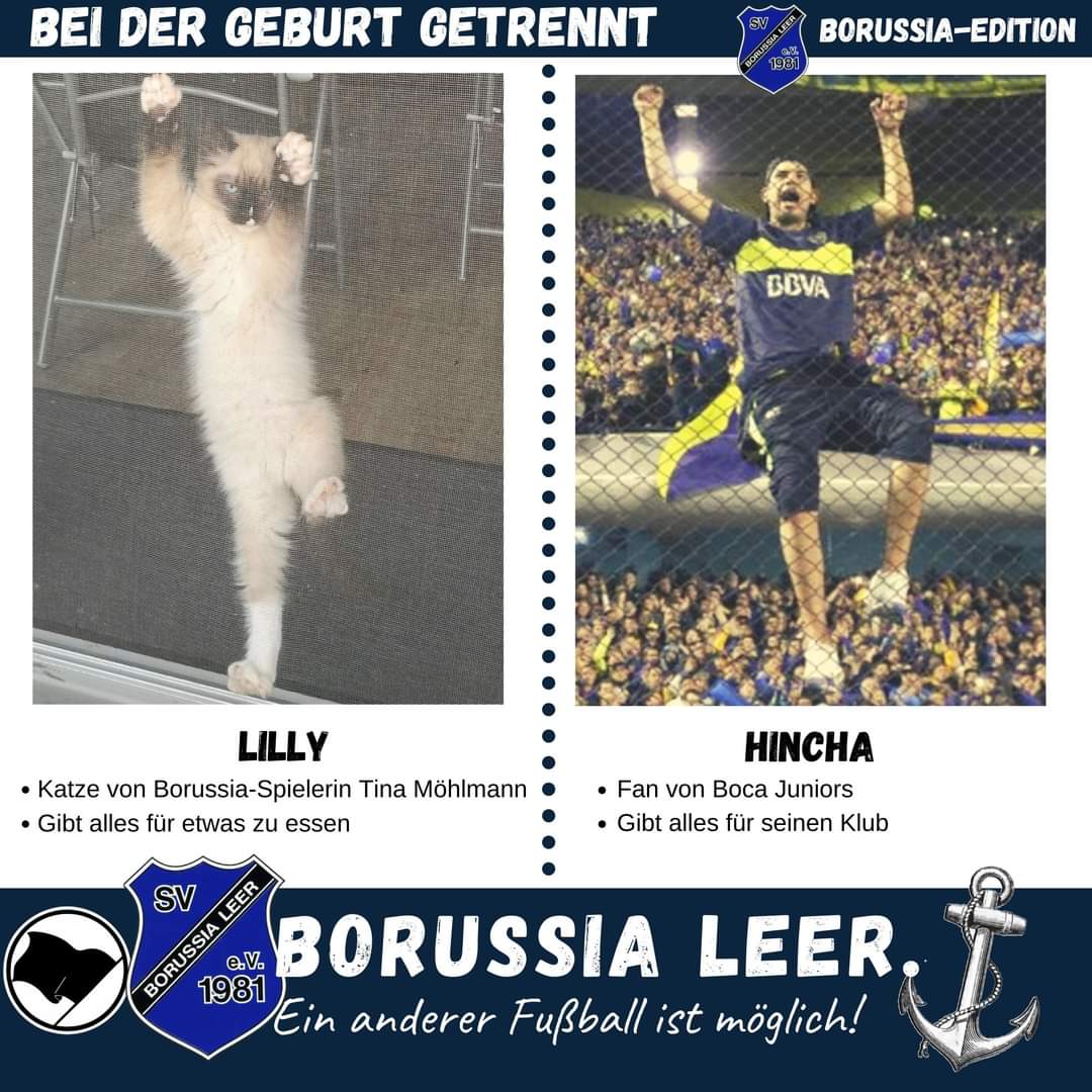 Wir wünschen Euch einen schönen #Weltkatzentag 🐈
 #worldcatday