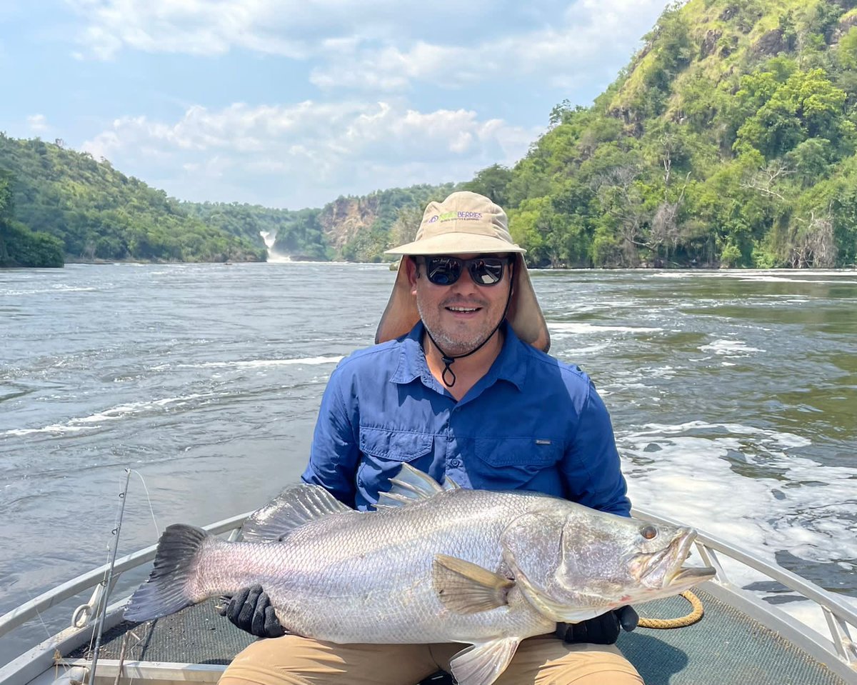 exclusive_uga's tweet photo. Uganda offers a great opportunity for sport fishing, Murchison Falls National Park is one destination you should never miss on your itinerary!
A catch and release policy applies! 

Contact our destination specialists today for some amazing offers! 
WhatsApp +256774618717 https://t.co/fBMrTkAnRA