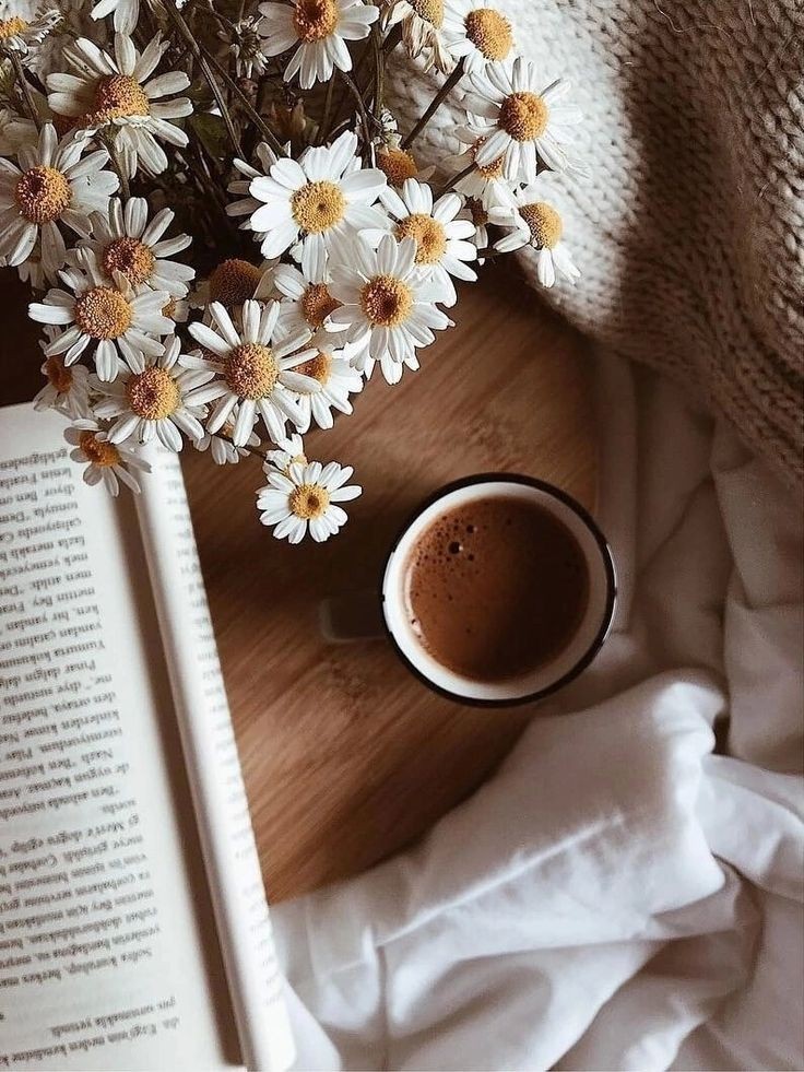 Rooz_585's tweet image. كن جميلاً في كل شيء صداقتك ، حبكَ ، أخلاقك ، تعاملك ...
 فَـ الطيبون مطر هائل أينما نزلوا
 تركوا وراءهم ما يدل على طيبتهم.🤍
#الأشياء_الجميلة