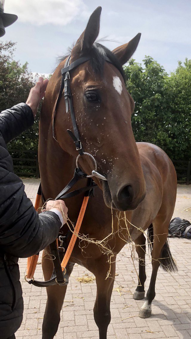ianbyers's tweet photo. Good luck to @BeluckyTrev @Nawton_Racing @jonnypeate2 and all involved with Too Much Too Young as he runs for the second time at @CatterickRaces this afternoon. 🤞⭕️🏇 #horse #racing #TMTY https://t.co/SdTQM8naYP
