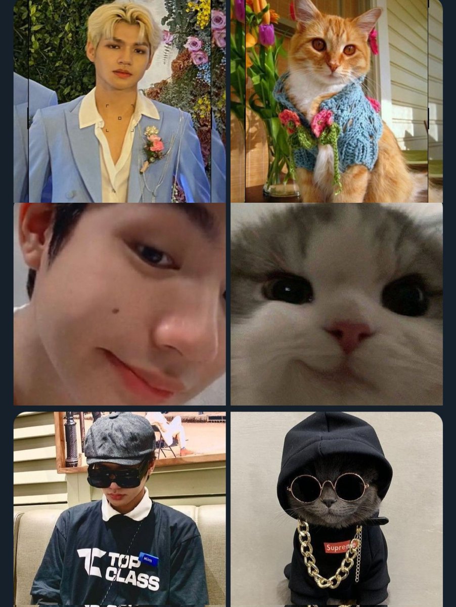 HAPPY INTERNATIONAL CAT DAY! 🐱🐾
(Kim's representative emoji 🐱)
THE SHOW FOR SEVEN
#HORI7ON_ON_THESHOW
#HORI7ON #호라이즌
#WeAreOneForSeven
#HORI7ON_KIM