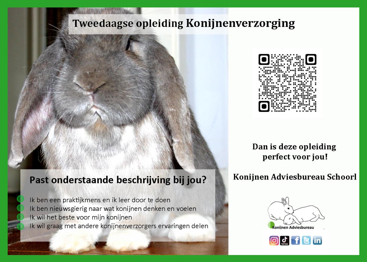 Een tweedaagse opleiding #konijnenverzorging in het prachtige #Schoorl. Een opleiding speciaal voor #konijnenverzorgers die leren door te doen! konijnen-adviesbureau.com/opleidingen/ko…