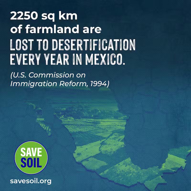 letssavesoil90's tweet image. Desertification is a real thing. It affects all life. Lets stop this. #SaveSoil. Lets make it happen. @cpsavesoil @sadhguruJV