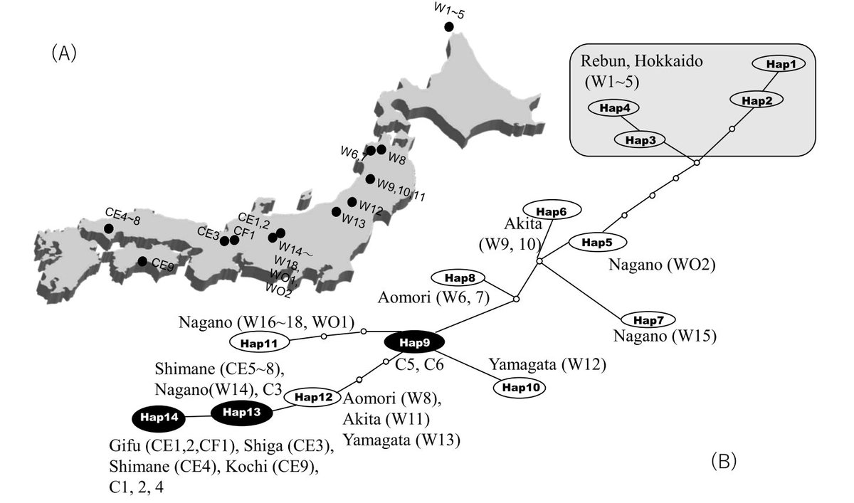 Breed_Sci's tweet photo. Kyoko Yamane et al., Breeding Science 73: 237–245 (2023)
Allyl isothiocyanate and 6-(methylsulfinyl) hexyl isothiocyanate contents vary among wild and cultivated wasabi (Eutrema japonium)
https://t.co/bEHY32Nw3q
#genetic_resources #pungent_flavor #traditional_condiment #wasab https://t.co/a1x1CSsZyj