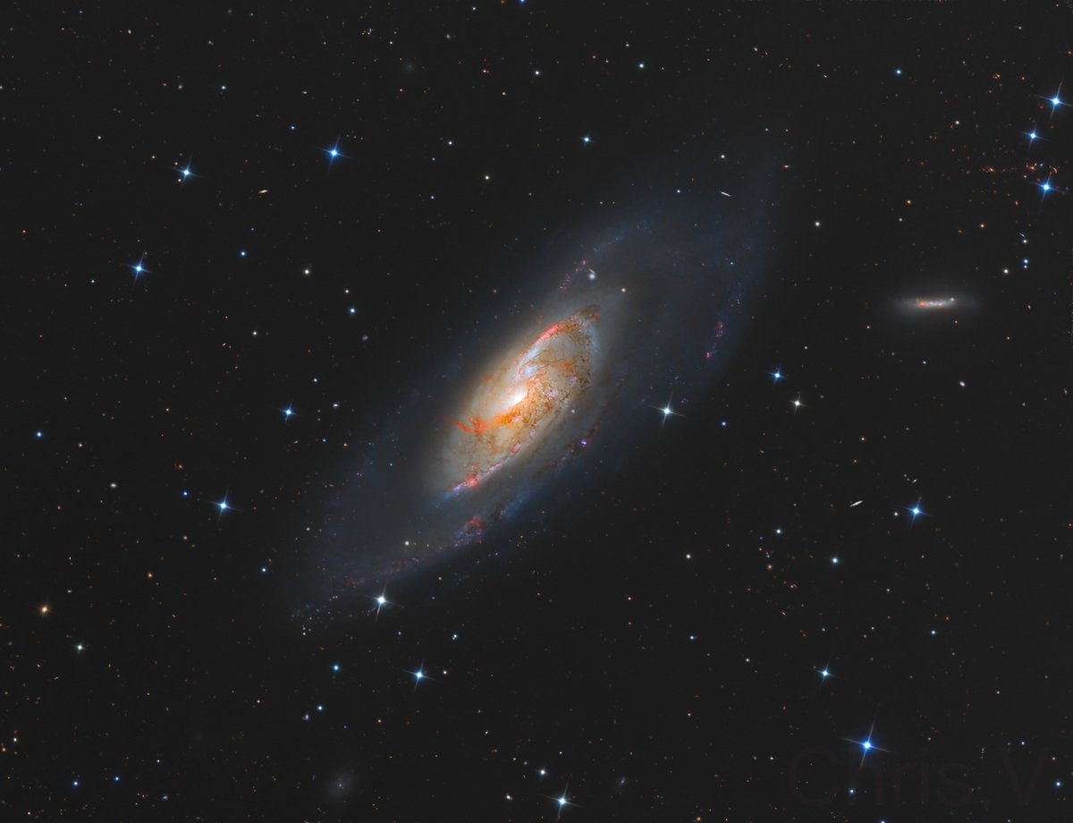 Optolong_filter's tweet photo. Messier 106 (also known as NGC4258)
#Celestron EdgeHD8"·TS-Optics N-AG12 Newtonian Astrograph
#StarlightXpress SX-694· #ZWO ASI294MMPro
#iOptron CEM70· #Sky-WatcherEQ8
#Optolong RGB 2"· #Optolong H-Alpha3nm 36mm·Luminance 36mm
Total:33h 28′
Credit:Vergnes Christophe&amp;Gaëtan MAXANT https://t.co/ofxRgZpcWj