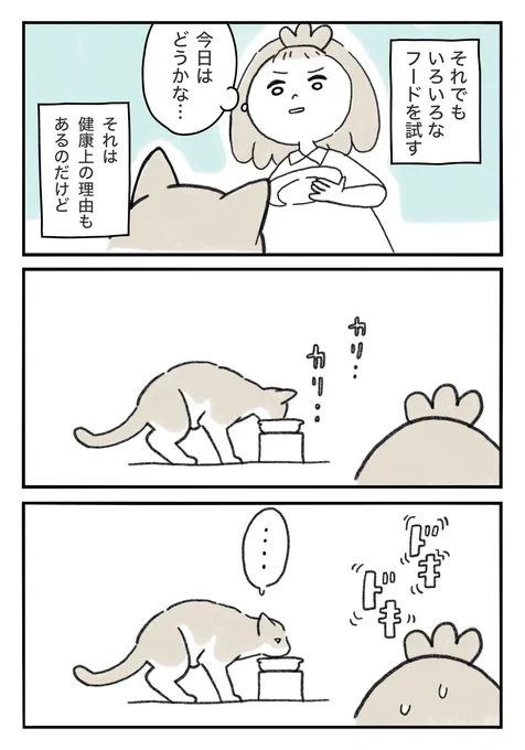 2/2