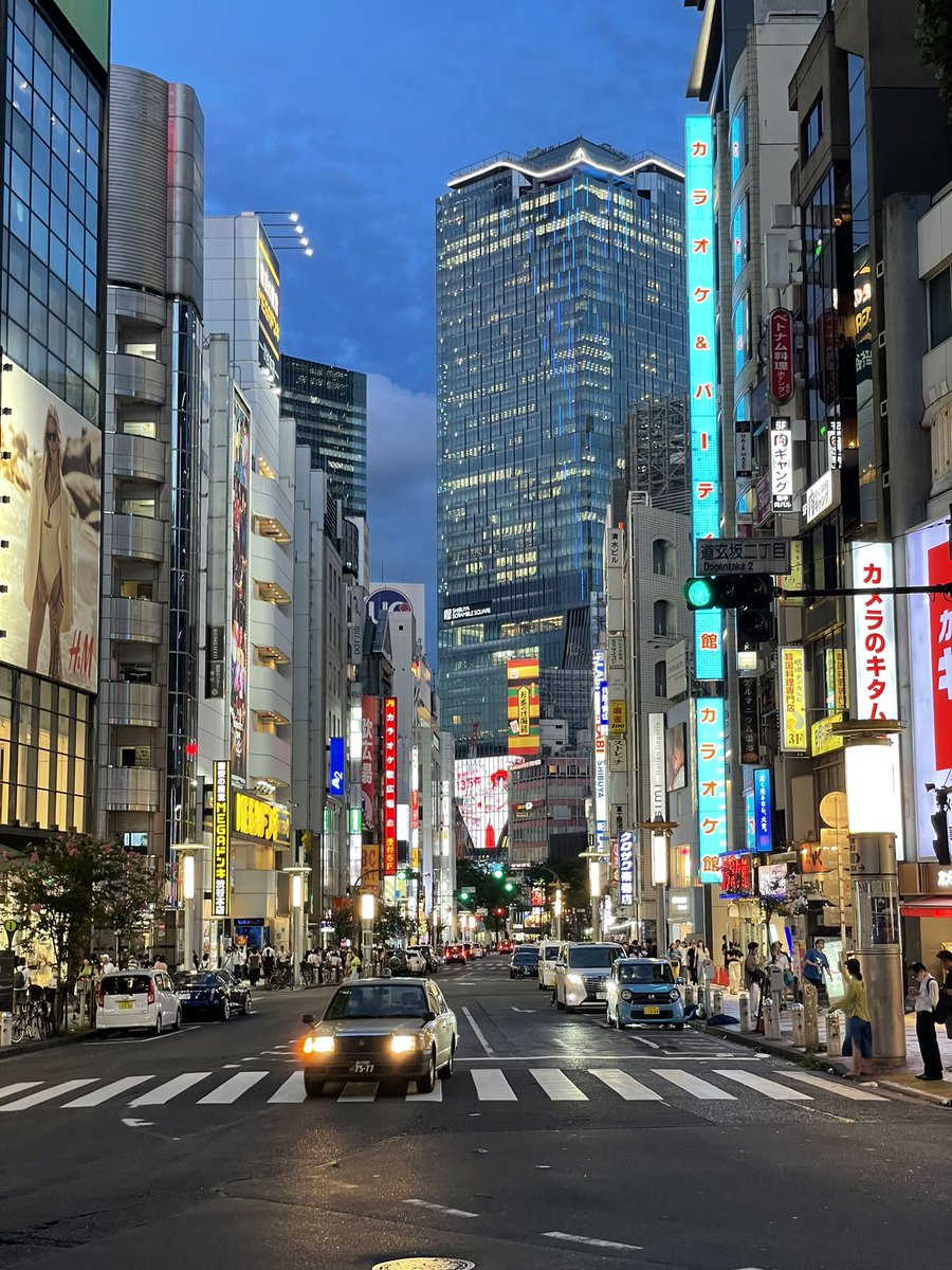 Tokyo twilight 🇯🇵