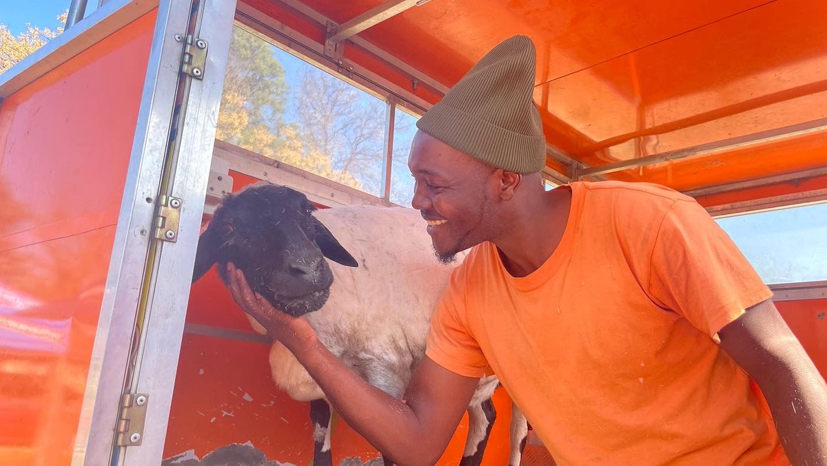 WetNoseARC's tweet photo. You guys groom animals?
Yes!
Even sheep?
Yes! https://t.co/uwWXpd5W7z