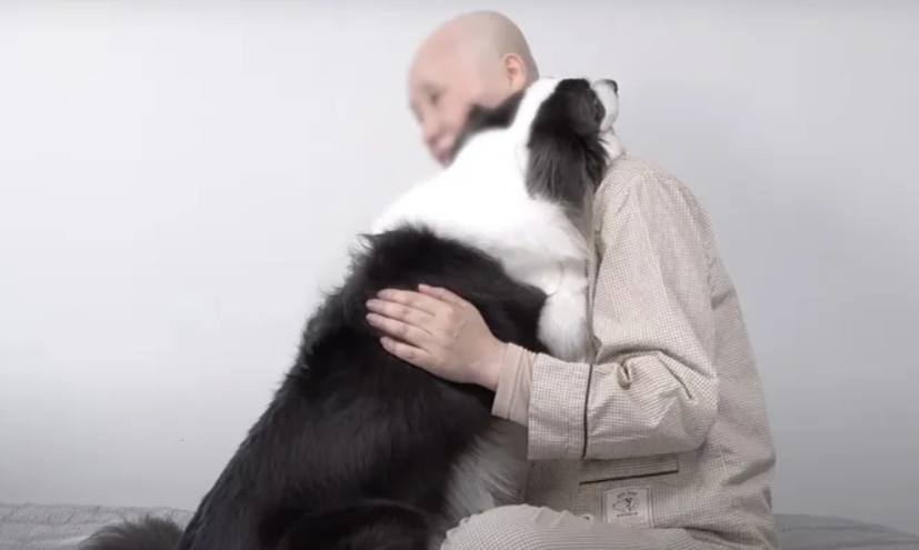 Fazo_tv's tweet photo. Egasining saratonga chalinganini anglagan it uni yupatmoqda😍😍😍

Videolar👉 https://t.co/iPnqdkLwp5

#fazotv #hayot #saraton #kuchuk #it #inson #life #cancer #dog #doglovers #People https://t.co/hFVSHltWDa