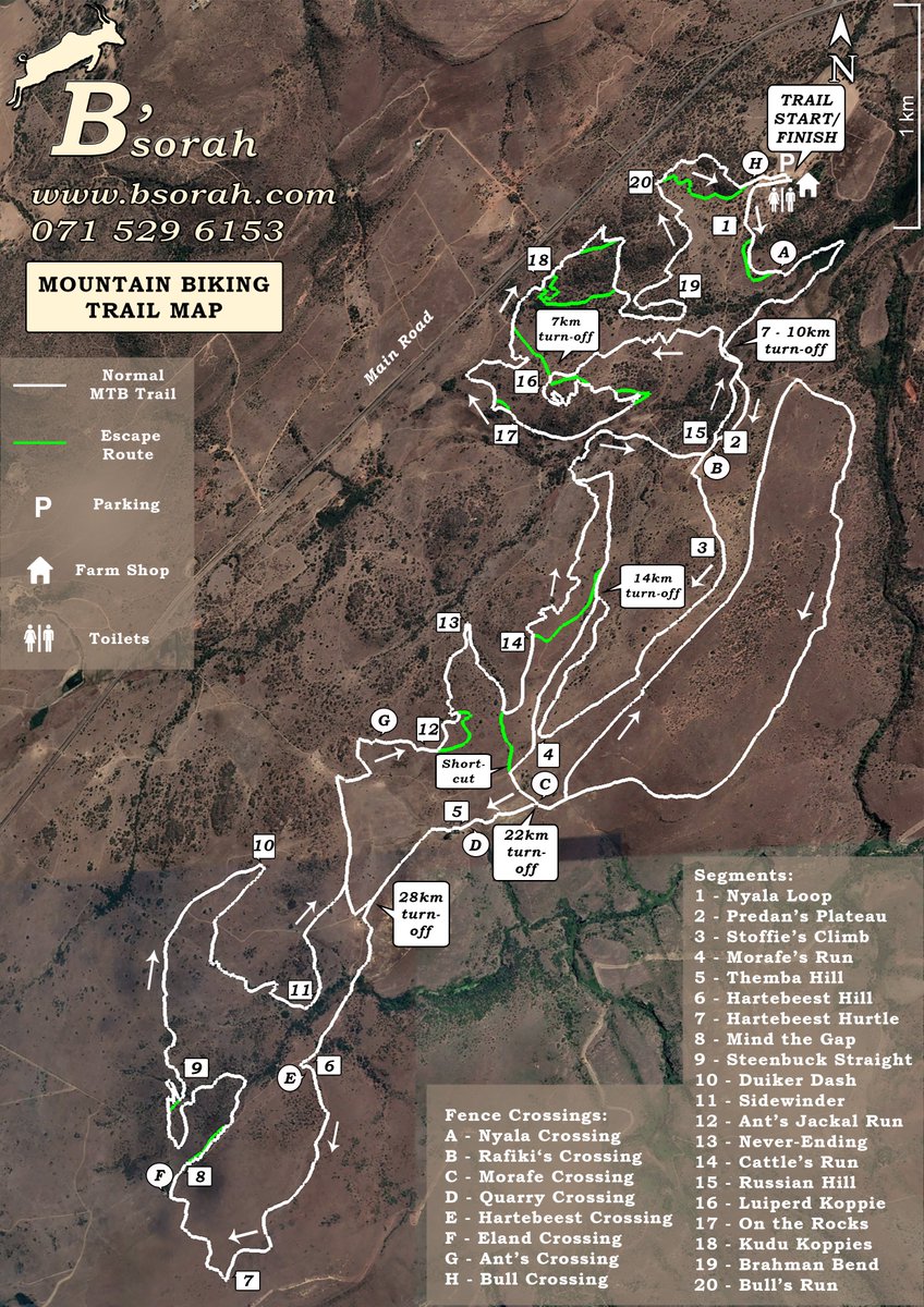 Our mountain bike trails are now 36km's, with shorter routes of 7km, 14km, 22km and 28km's. 

There are plenty of options for the whole family and every skill level, so ladies come and enjoy an awesome MTB ride at B'sorah on Women's Day!

#mountainbike #riding #WomensDay2023