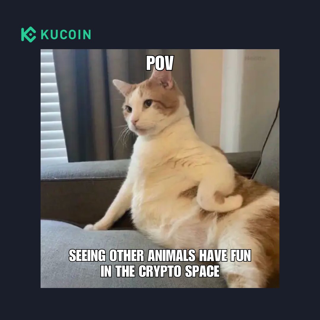 Happy #InternationalCatDay🐱 Drop your fav cat #memes here! 👇