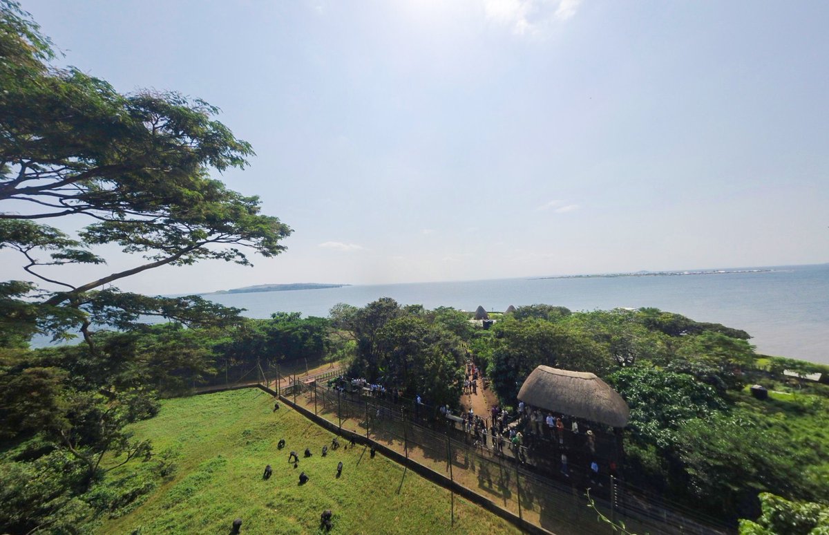 Guess the place #uganda #island