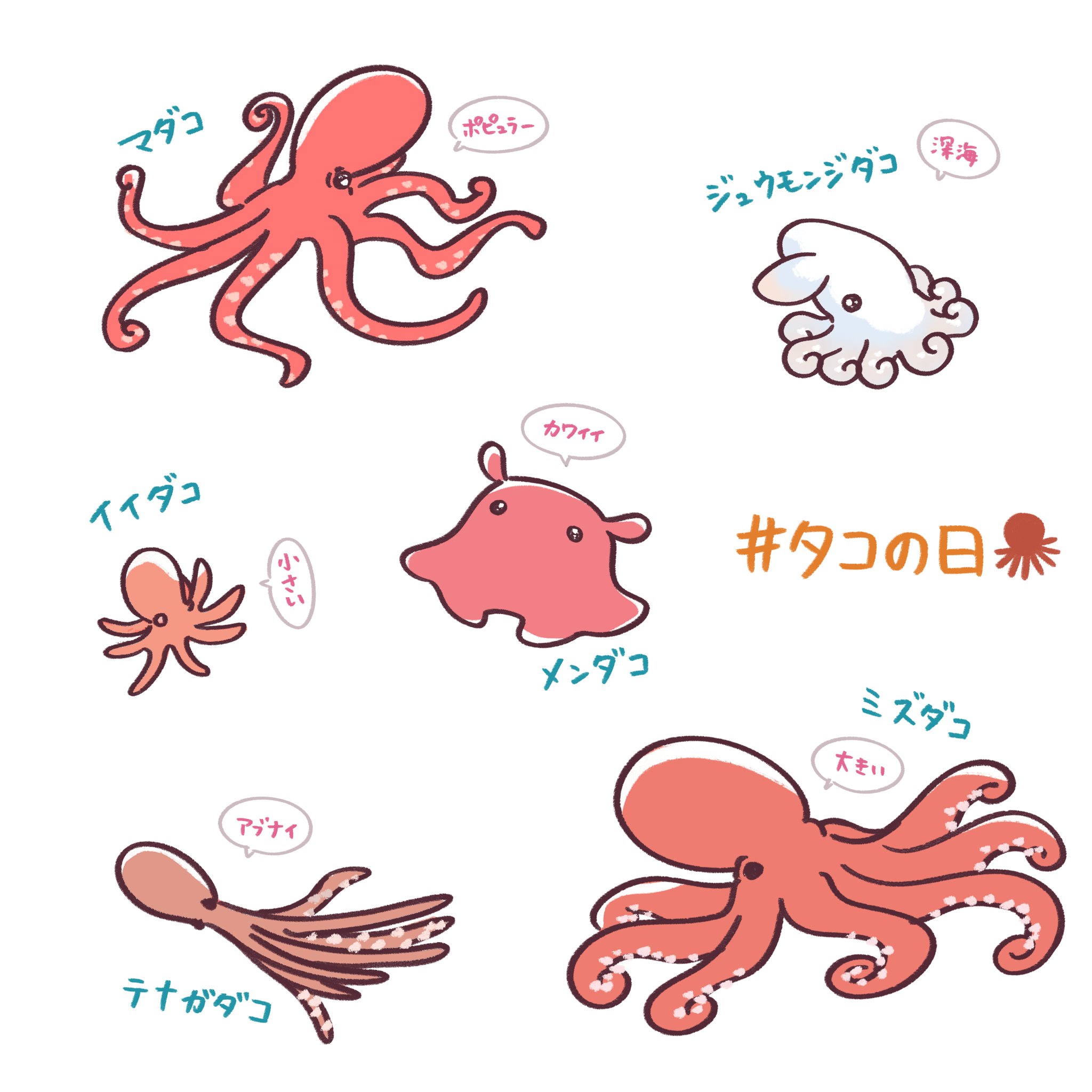 めんだこ F2_TqNVb0AASgHC.jpg:large