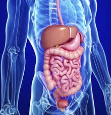 sasutra3's tweet photo. Terminología del #SistemaDigestivo
#Paciente #Acalasia #Fisioterapia #Pirosis #Tiflitis
https://t.co/QeKHyeyqZ0 https://t.co/xcvp7oC0kS