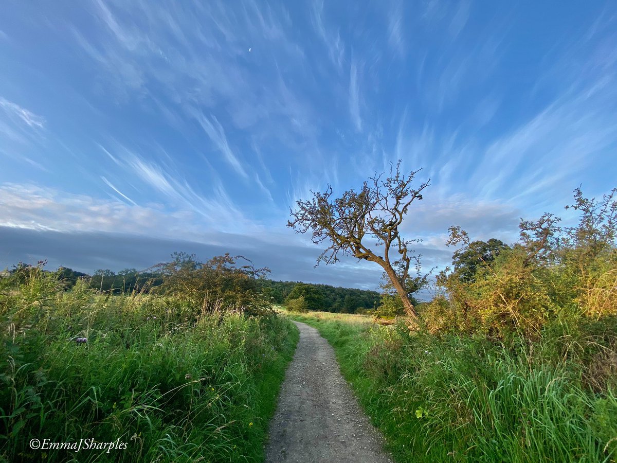 theemmadilemma's tweet photo. Stepping up the exercise and running for @AgeUKBwD workplace Active August 🏃🏻‍♀️🌅
.
.
(#earlymorning #motivation #running #morningrun #keepfit #mentalhealth #scenery #wellbeing #keepactive) https://t.co/xVRMg4094z