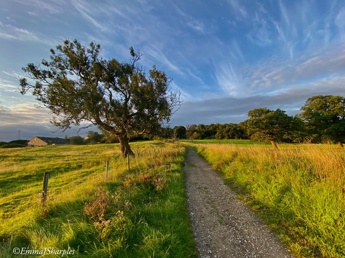 theemmadilemma's tweet photo. Stepping up the exercise and running for @AgeUKBwD workplace Active August 🏃🏻‍♀️🌅
.
.
(#earlymorning #motivation #running #morningrun #keepfit #mentalhealth #scenery #wellbeing #keepactive) https://t.co/xVRMg4094z