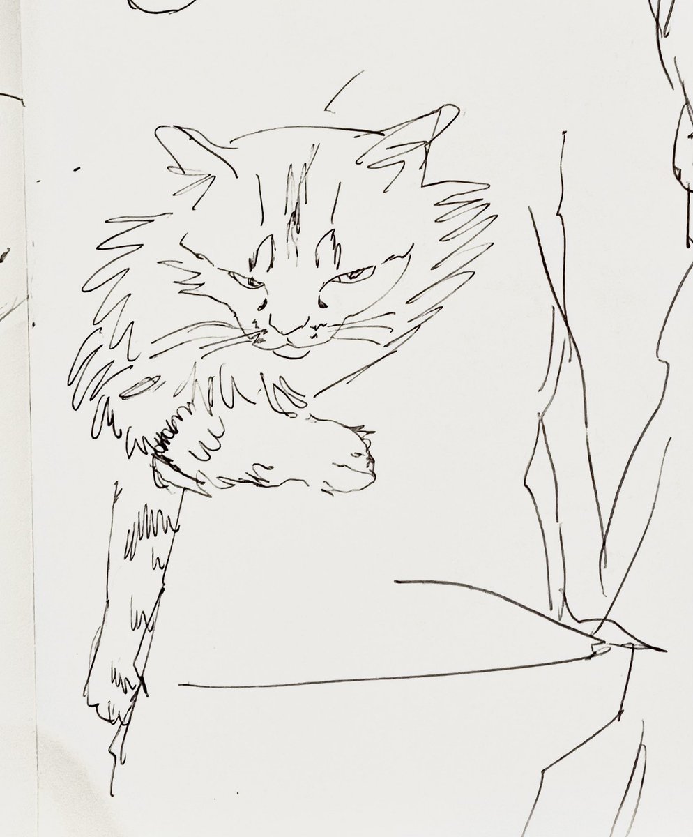Oh kitty kitty