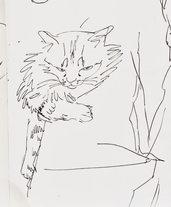 Oh kitty kitty