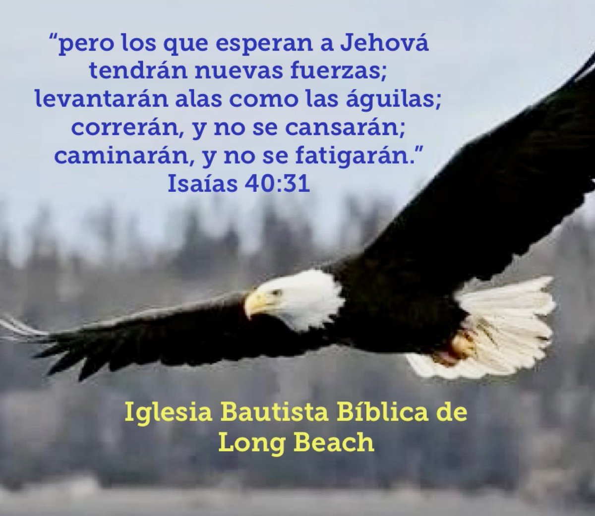 DrLuisParada's tweet photo. ¡Ánimo amados hermanos en Cristo! Con la ayuda del Señor seguiremos adelante. Oremos unos por otros. Dios es nuestra fortaleza. Dios les bendiga. 🙏 https://t.co/ova7AYpngM