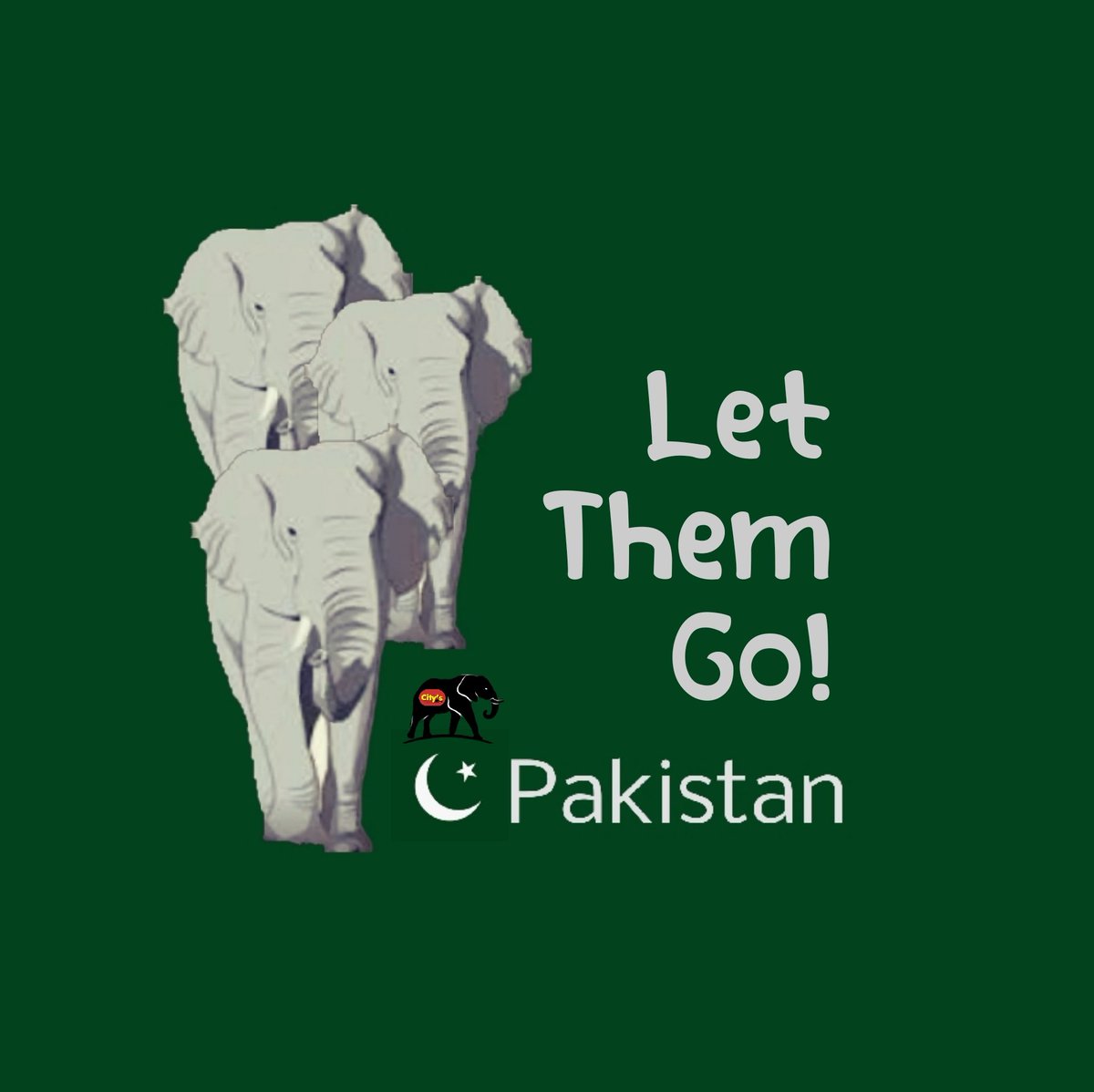 #LetThemGo 🦣 🦣 🦣
the #Karachi3 #ToBeAnElephant
NOT AGAIN like #NoorJehan 🐘🖤
🆘️ URGENT VET  NEED 🆘️
🕳 #EmptyPromises
🇵🇰 #Pakistan 
#NoElephantsInPakistan
#Sanctuary4Karachi3

#NewProfilePicture
#NeuesProfilfoto