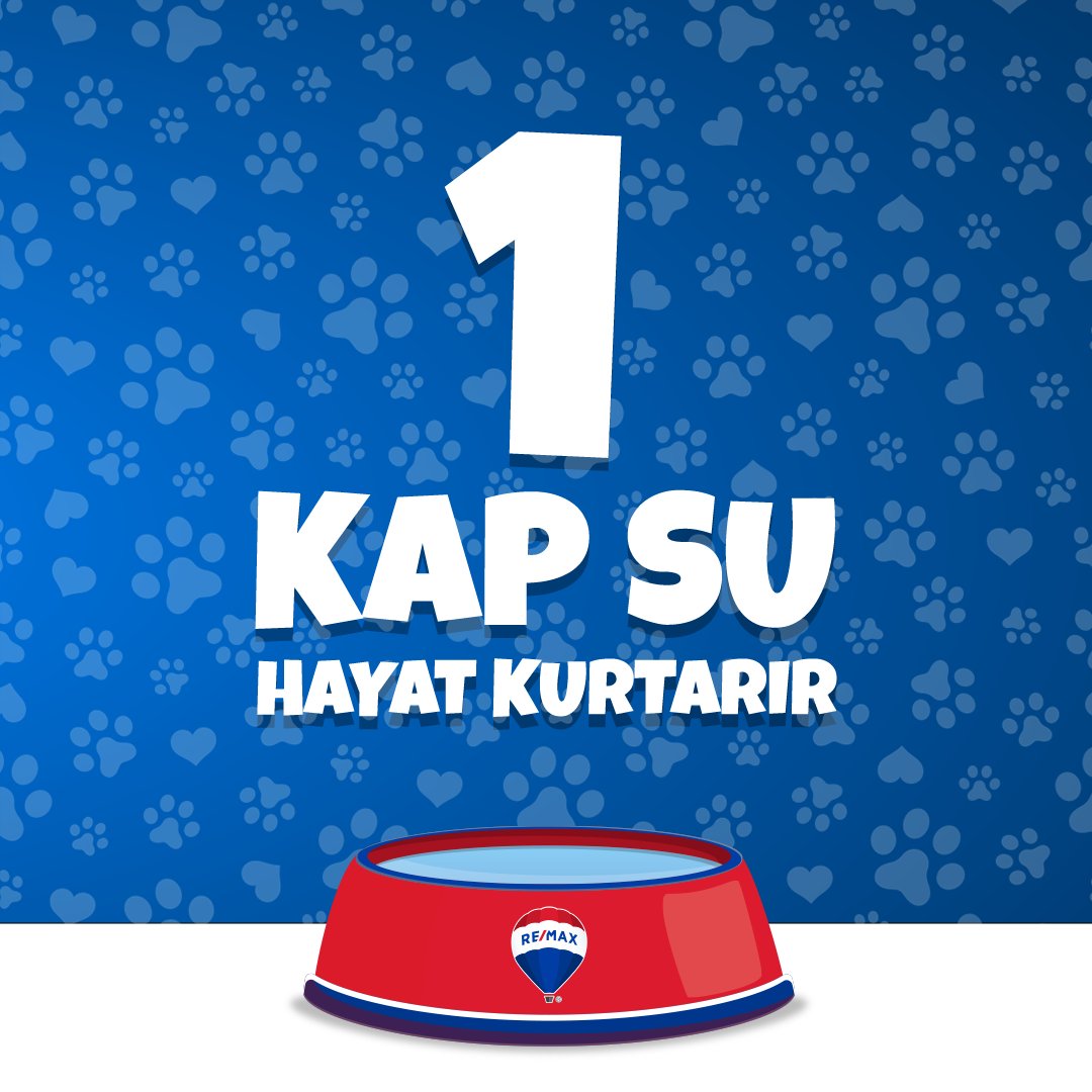 Bu sıcak günlerde dışarıdaki dostlarımızı unutmayalım😻1 kap su hayat kurtarabilir❤️🤍💙