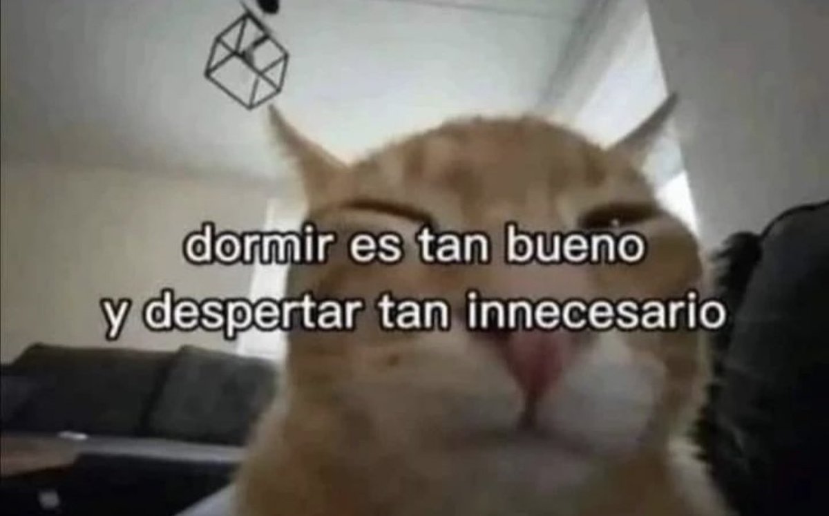 skereunpesado's tweet photo. https://t.co/GfZfoCsQSO