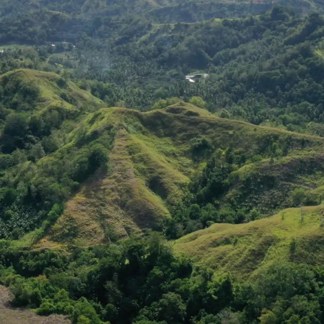 Eden Reforestation Projects had been working with the local government and communities in the Philippines since 2021. They're working across two sites to preserve forests and rainforests, protect them from logging, prevent fires and implement sustainable farming practices💚🌎
