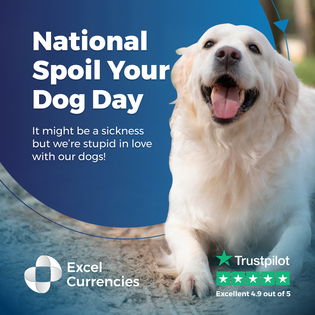 ExcelCurrencies's tweet image. 🐶 Celebrating National Spoil Your Dog Day! 🎉 Showering my pup with extra love, treats, and playtime today. 🐾 How are you spoiling your furry friend? Share your paw-some ideas below! 💕🐕 #SpoilYourDogDay #PamperedPup