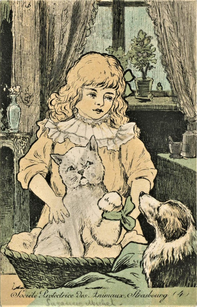 #journéesinternationaleduchat 🐱
On vous partage cette mignonne petite carte postale de la Société protectrice des Animaux de Strasbourg vers 1920 (👋 <a href="/SpaStrasbourg/">SPA Strasbourg</a>).

📸 AVES, 301 FI 210.

#chat #JournéeInternationale #archives #strasbourg #strasbourgculture #alsace