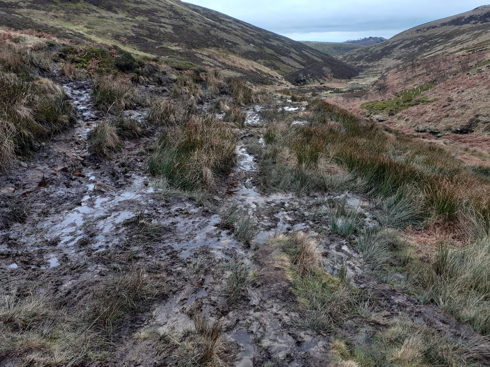 peakdistrict's tweet photo. Repairs to a site on #DoctorsGate - a bridleway near #Glossop - have been completed.
The #DarkPeak route is popular with mountain bikers & walkers who enjoy the challenges of steep sections & high moorland.
Full story...
π https://t.co/GN6frGBUue
#BogofDoom @DefraGovUK https://t.co/cev5bKa4ro