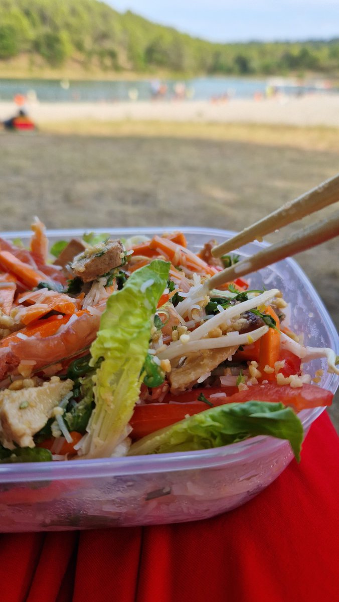 ArtFoxdrawing's tweet photo. Petit plat préparé par Maman au lac 🥰

#veganfood #asiat #food #summer https://t.co/zTVO4zJr0U