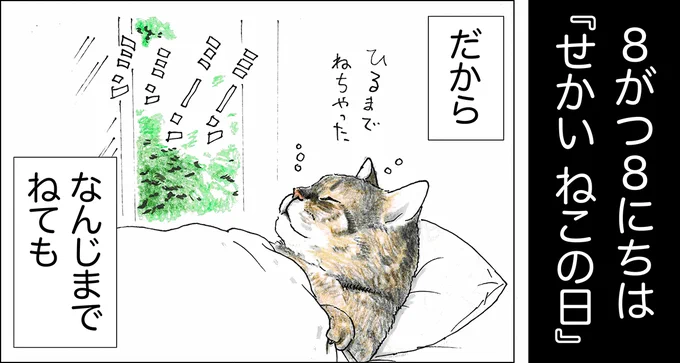 や、どうも。 あつはなついね。 きょうは『せかいねこの日』なんだって。そこで俺がみなさんに、しょうげきのじじつをおつたえするよ!