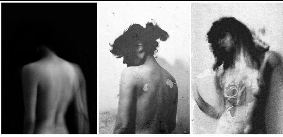 Elena Kuzmicheva tweet media