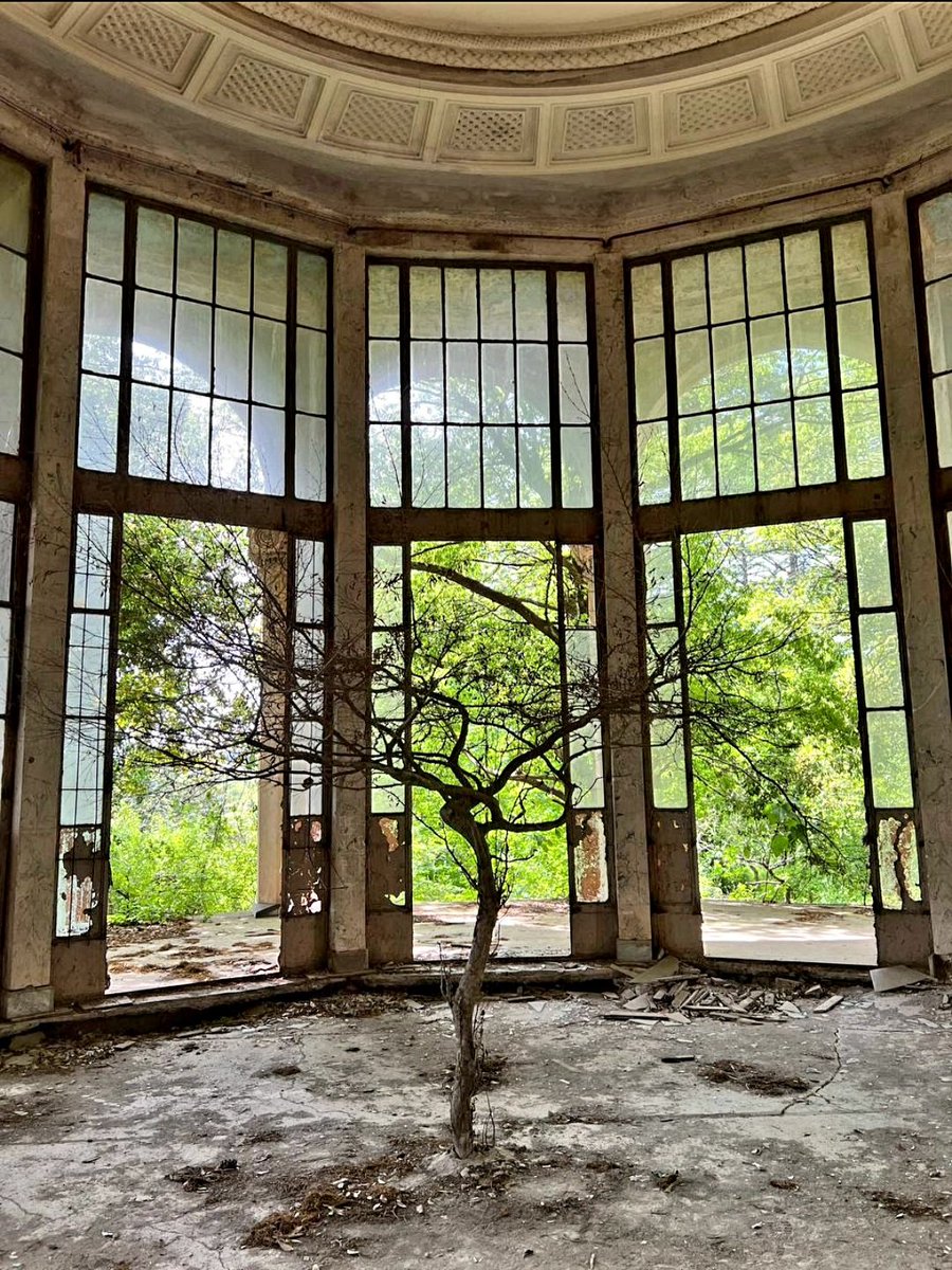 nika1703nika's tweet image. The most unexpected thing you can see on the #floor is a tree growing out of it. Abandoned hotel in Georgia
#DailyPictureTheme
