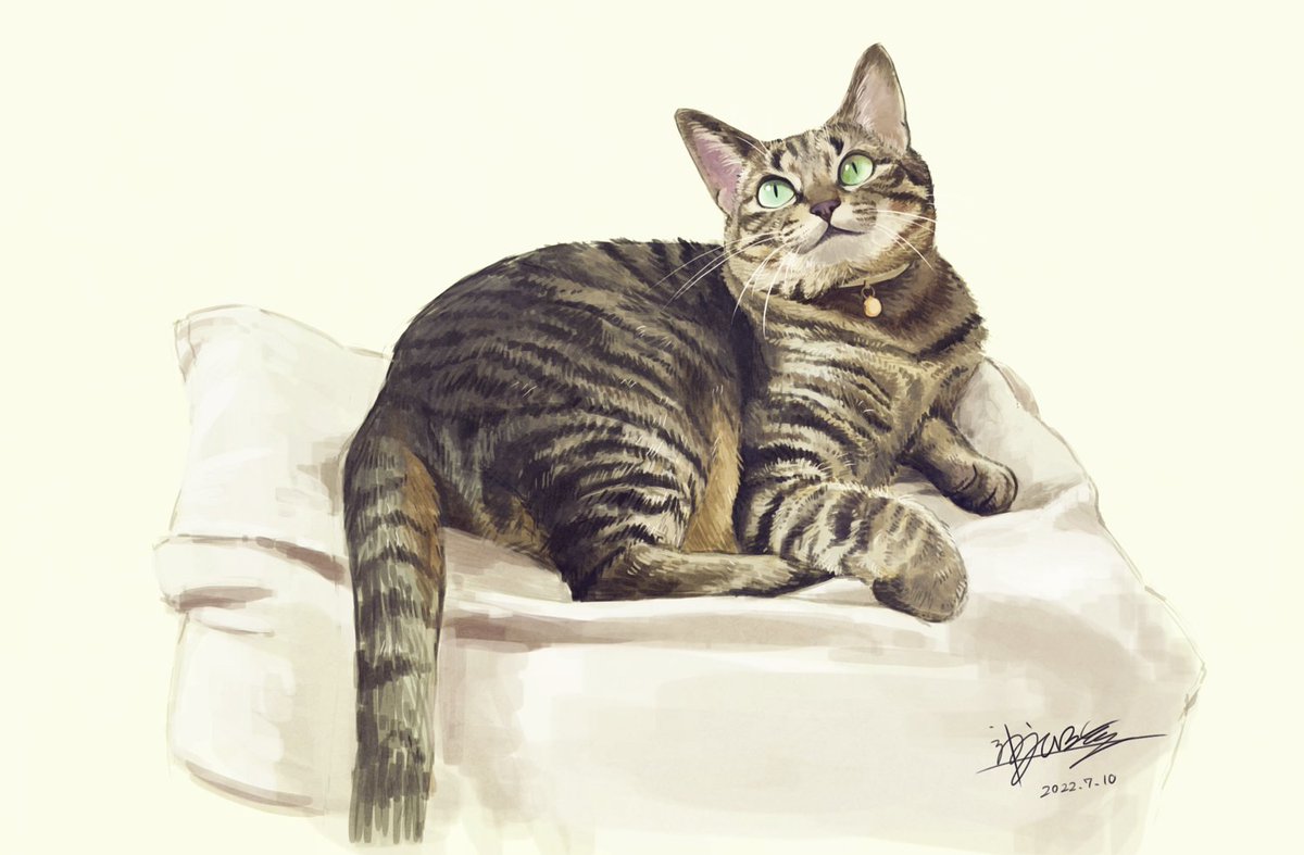 「#世界猫の日 すべてのお猫さまに幸あれぇ!!!」|神永睦のイラスト