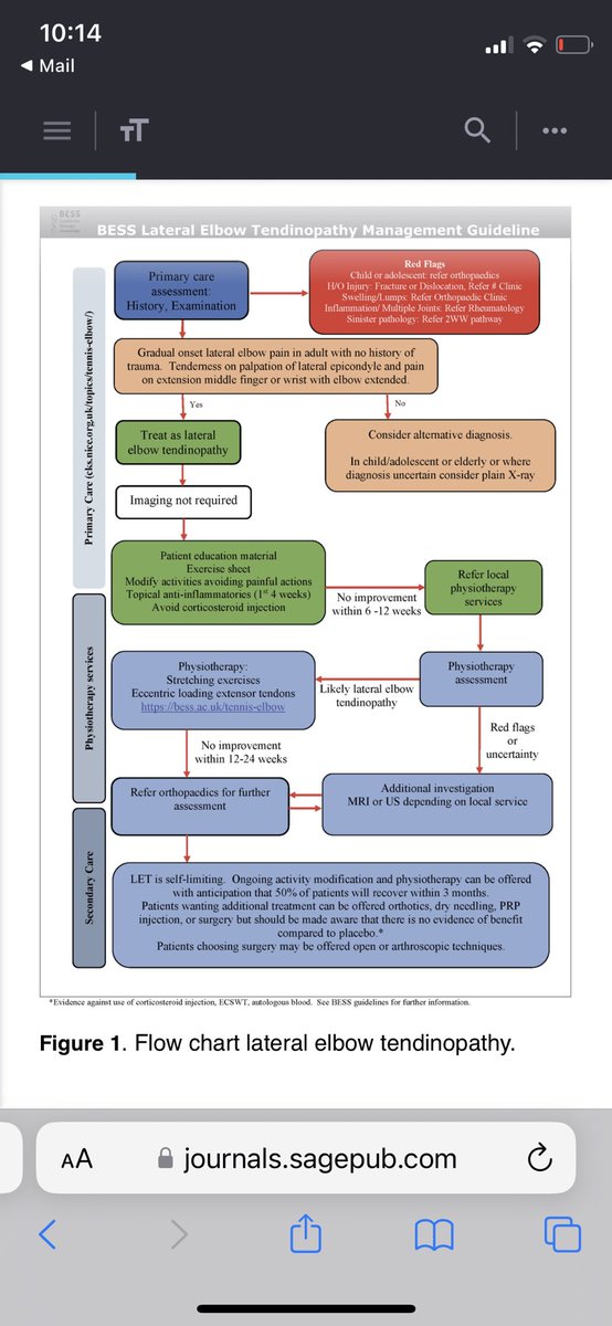 Nick Livadas tweet media