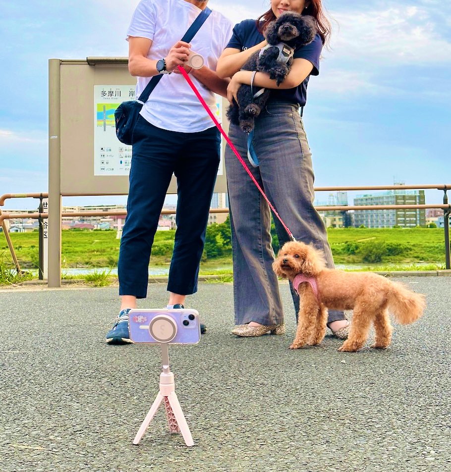 ShiftCam_JP's tweet photo. #SnapPod (三脚)にスマホを固定して、手元の #SnapGrip をリモコンがわりにシャッターボタンを押して撮影!ベストアングルでの撮影もばっちりです📷✨
#shiftcam_jp
#自撮り
#ワイヤレスシャッター
#スマホ写真
#MagSafe
#写真が好きな人と繋がりたい https://t.co/PcRWVNPMDa