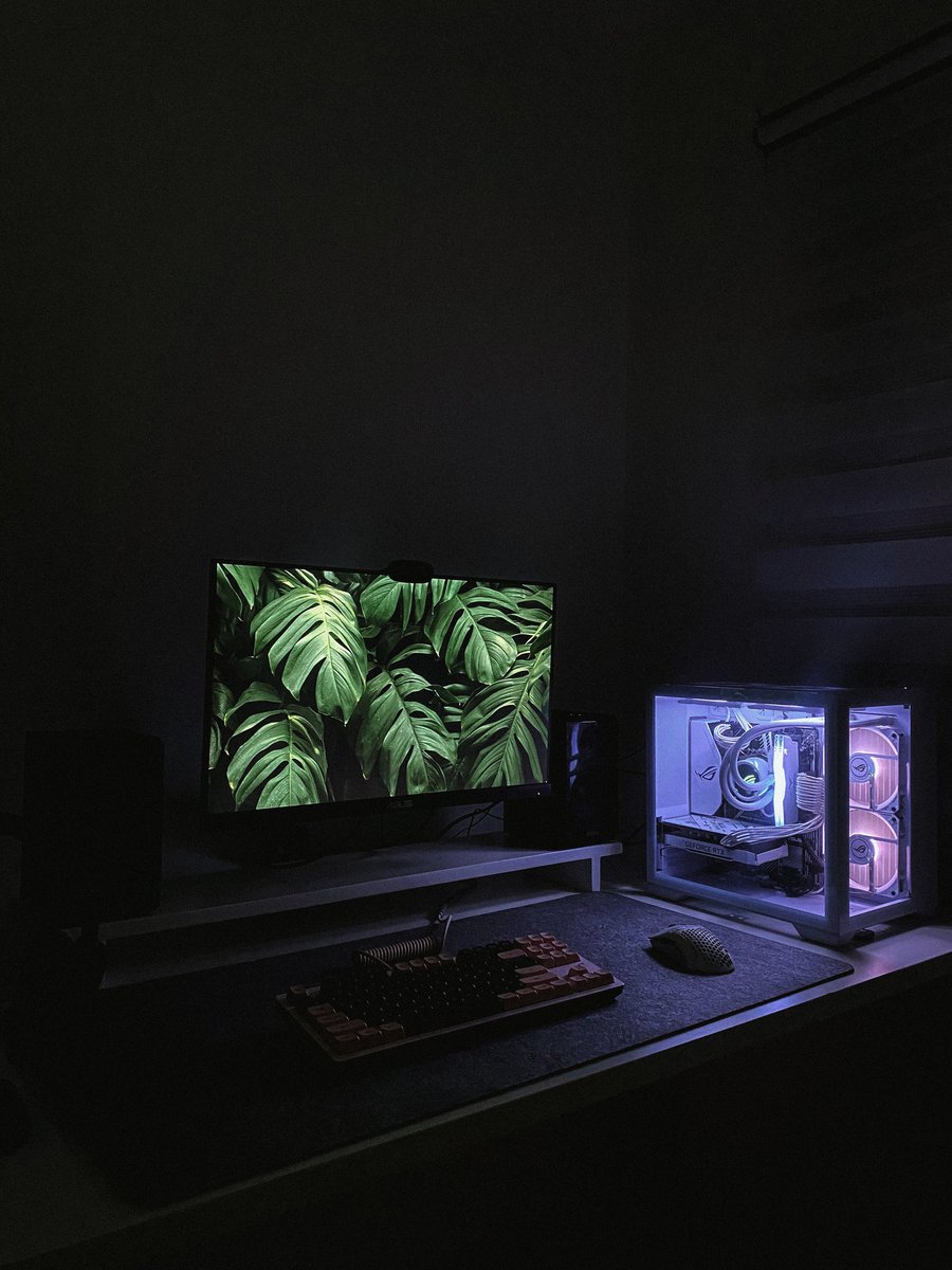 MichaelGedy's tweet photo. Gaming/Editing PC Setup 🇵🇭 https://t.co/AEBJ8guYjJ