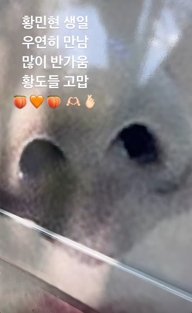 saveMINREN's tweet photo. 콧구멍....을 많이 좋아하는 커플

#민렌 #MINREN #민렌저장소 https://t.co/3tnj2LuGv0