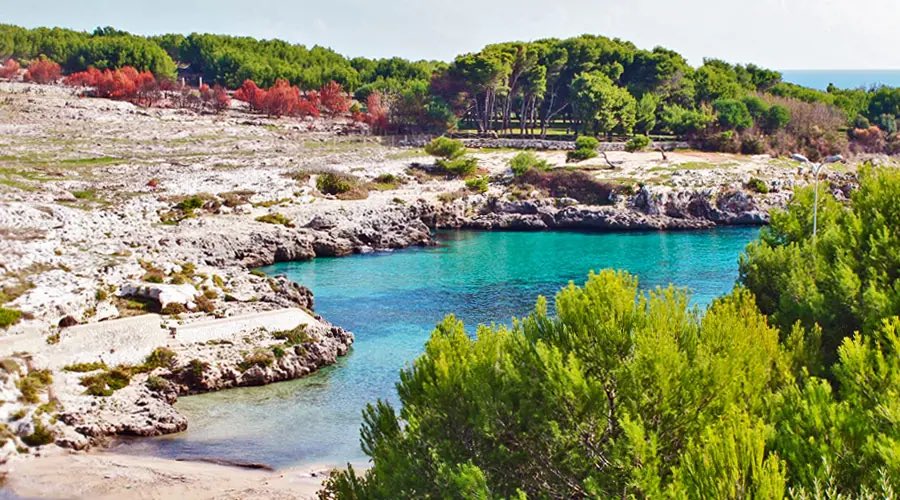 Scuolazzurri1's tweet photo. SPIAGGE SEGRETE_SECRET BEACHES: PORTO BADISCO, PUGLIA 🇮🇹 https://t.co/qfzvTv3Udj
.
.
#portobadisco #puglia #landscapes #summer2023 #beach #secret #sand #italianbeach #italy #italianstyle #amazingplaces #beautiful #turism #scuolazzurri #picoftheday https://t.co/rWN0cPaFLn