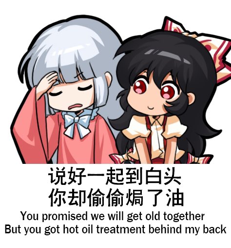 藤原妹紅 「I don't have an aspiration,I only dream 」|上官绯樱のイラスト