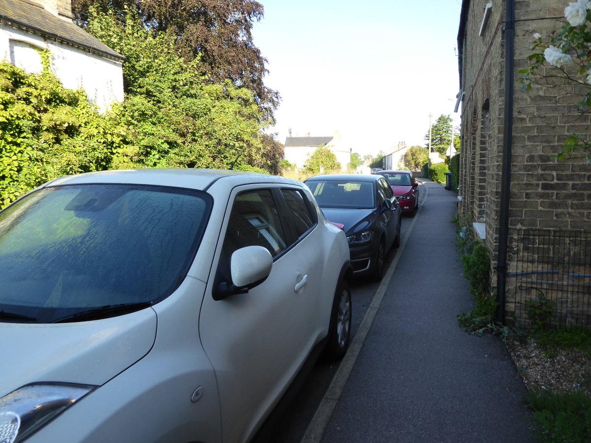Girlinthe's tweet photo. @melindahaunton Car-line thistle, you say? #CrapJacobinDay https://t.co/Ofqjtdumsf