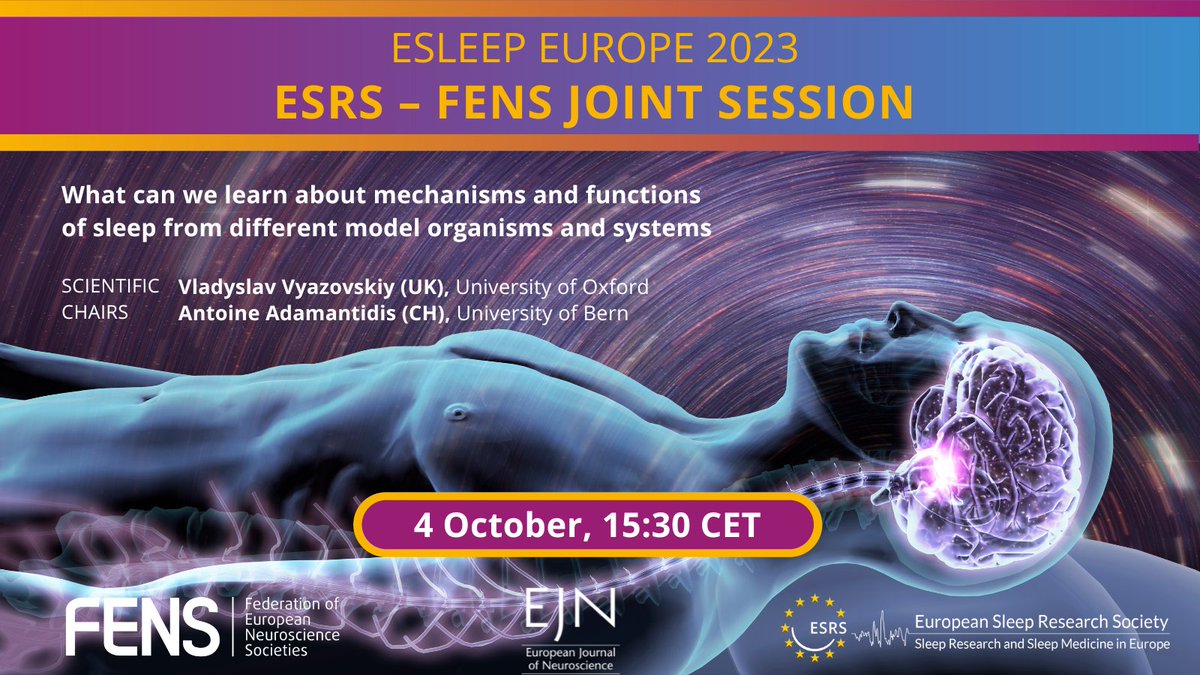 FENSorg's tweet photo. 🤩 Here’s a tip to avoid #FOMO at the #eSleepEurope23: check now the #FENS and @ESRS_Sleep joint session and meet the outstanding speakers: Umberto Olcese, @BandarabadiM, Dragana Rogulja, Lior Appelbaum, @ChaBoccara and @svenjabrodt.

👉 More info: https://t.co/rUzk40XNML https://t.co/Vl6JwCoSG0