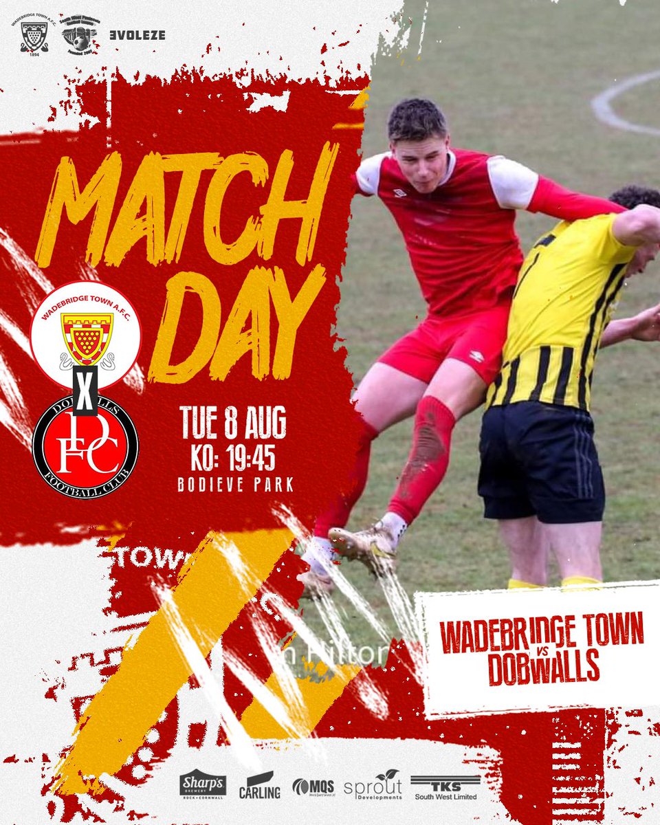 Wadebridge Town FC tweet media
