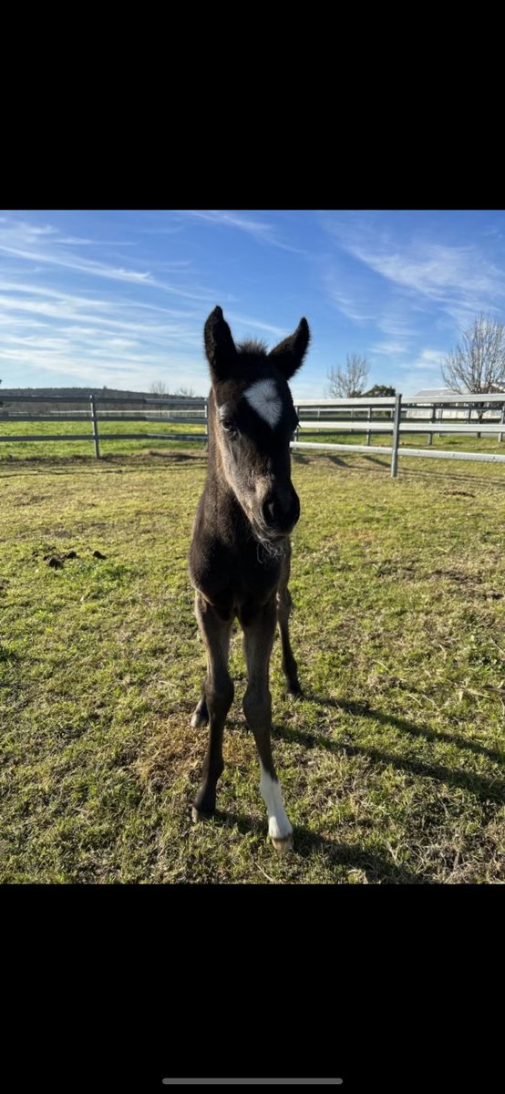 Gavin Munt tweet media