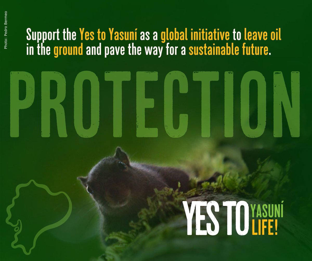 EKOenergy_'s tweet image. Ecuador has been exploiting #fossilfuels for 51 years, mostly in the Amazon. The upcoming referandum is a historic chance to protect the territories of Indigenous peoples and biodiversity 🌎
Let us stand with the #YesToYasuni and no to fossil fuels!
#YesToLife #nooilnogas